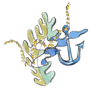 Vilebrequin La Plage